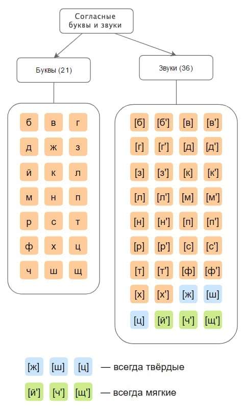 согласные буквы и звуки в русском алфавите